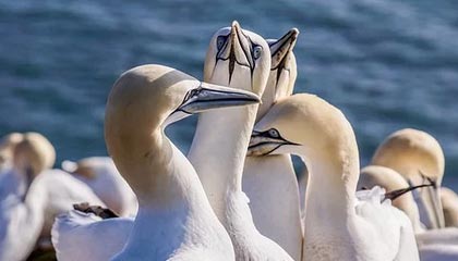 心凉半截！冷门真相原来一直被误解，越想越后怕，心凉了半截的说说