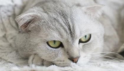 吃瓜现场｜表面看很普通，新91视频细节密度高得吓人，像是故意留了口子，真正让人失眠的是那个被忽视的小动作