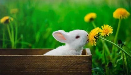 荒唐！热搜背后让网友吵翻了，内情第一次被公开，热搜官方